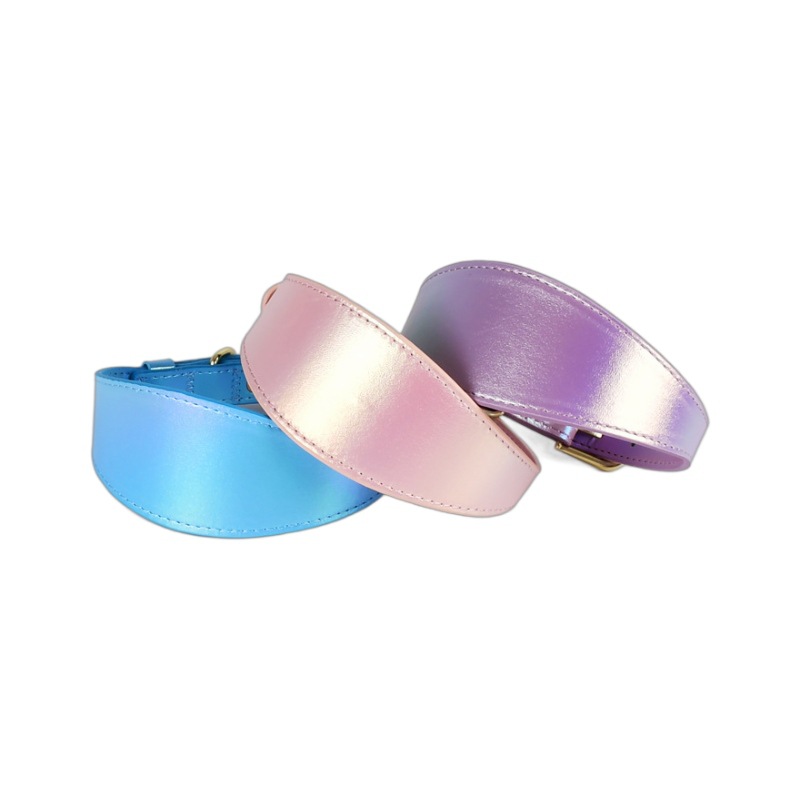 Magic Color Dog Collar Set