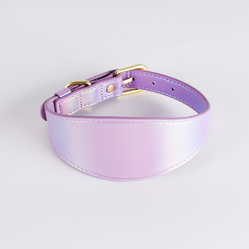 Magic Color Dog Collar Set