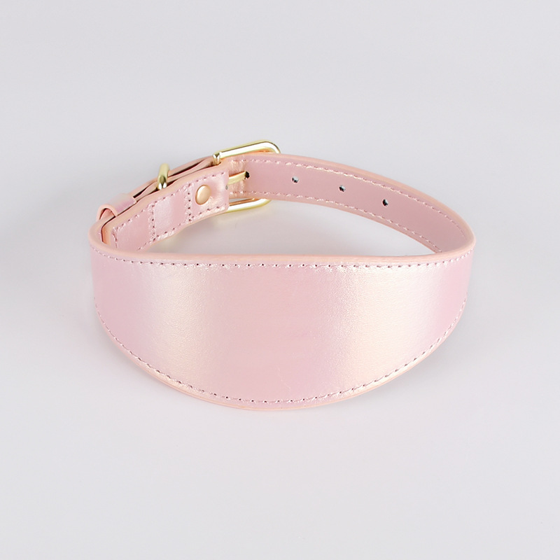 Magic Color Dog Collar Set