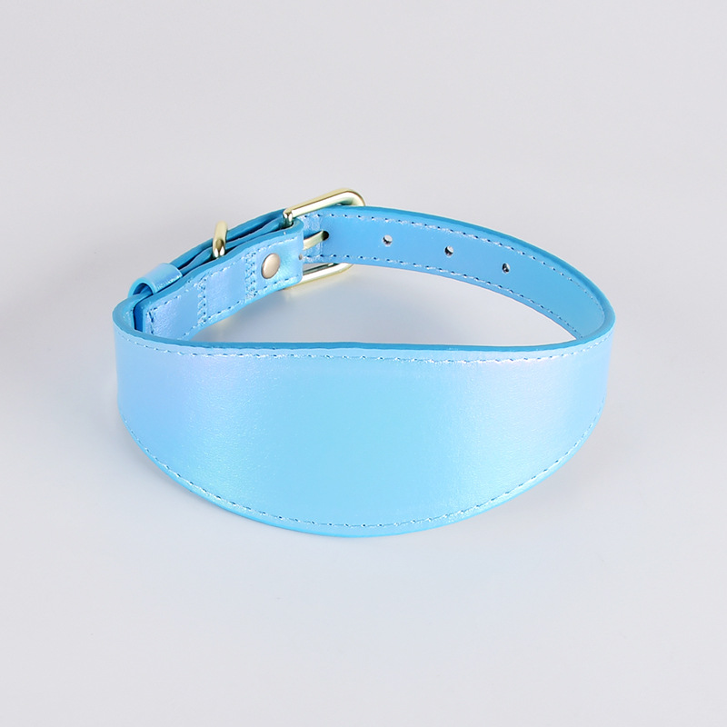 Magic Color Dog Collar Set
