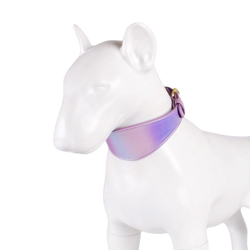 Magic Color Dog Collar Set