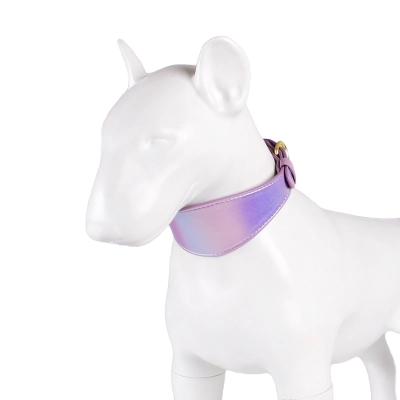 Magic Color Dog Collar Set 02