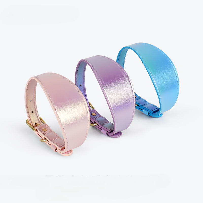 Magic Color Dog Collar Set