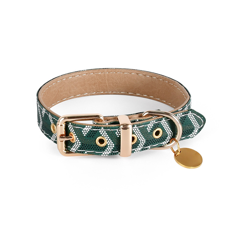 Laser Engraved Dog Collar Set