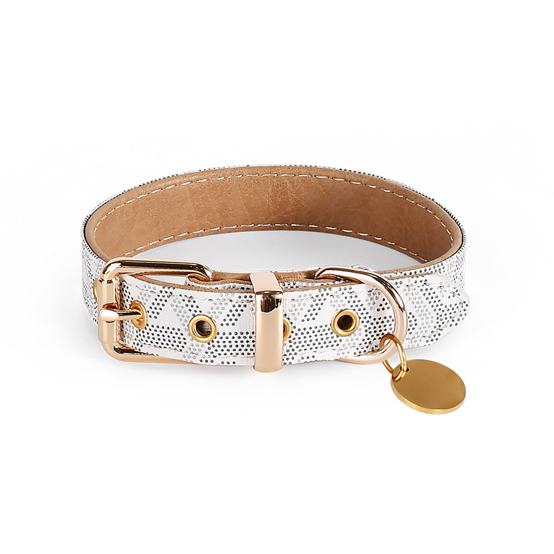 Laser Engraved Dog Collar Set
