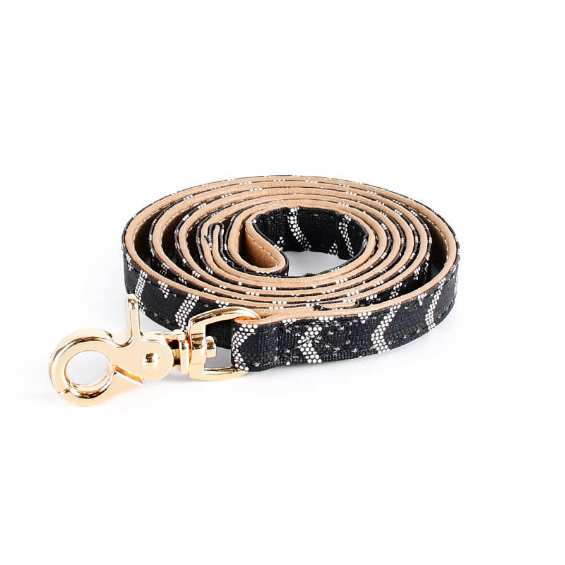 Laser Engraved Dog Collar Set