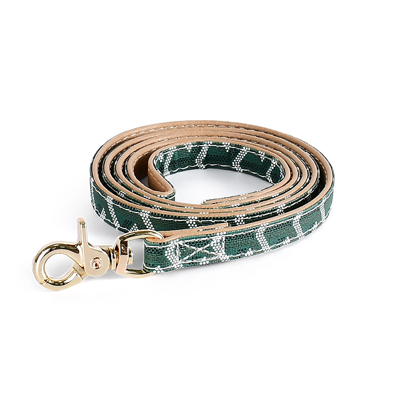 Laser Engraved Dog Collar Set