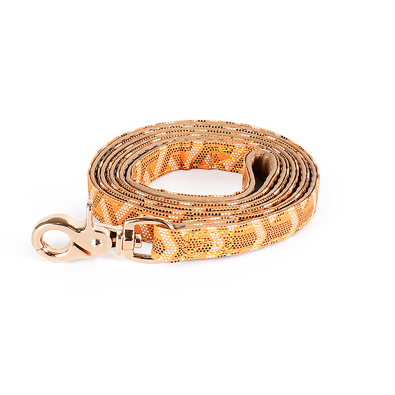 Laser Engraved Dog Collar Set