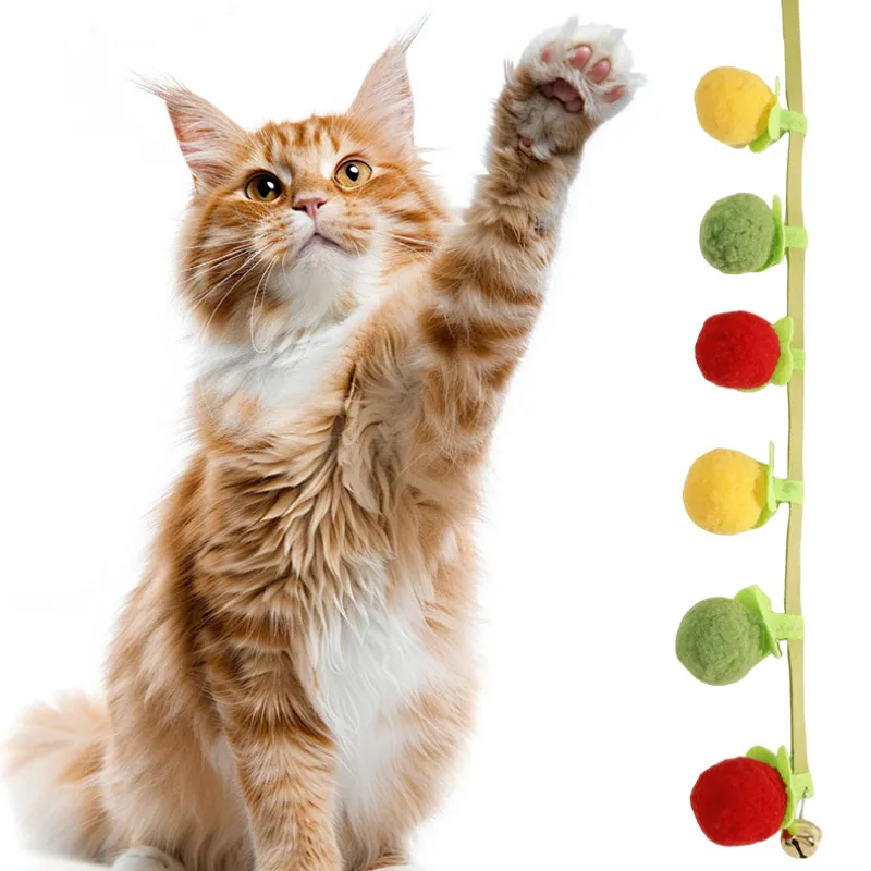 Catnip Tomato Teaser Toy