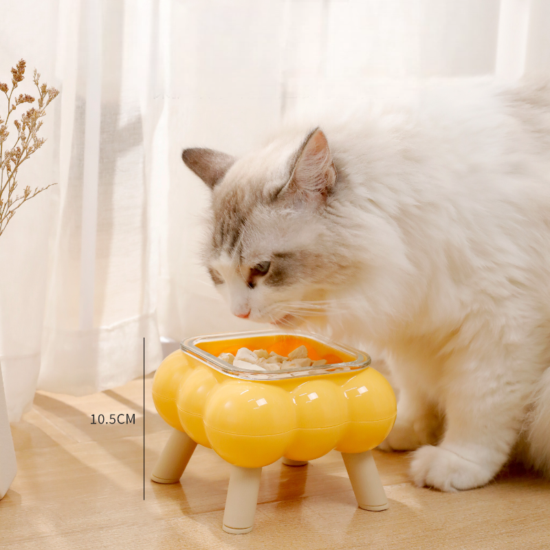 Bubble Glass Elevated Cat Bowl