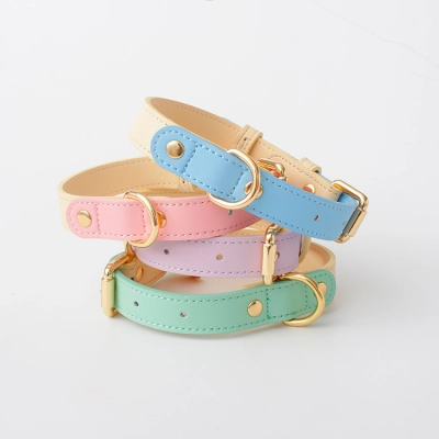 Genuine Leather Dog Collar Set 01