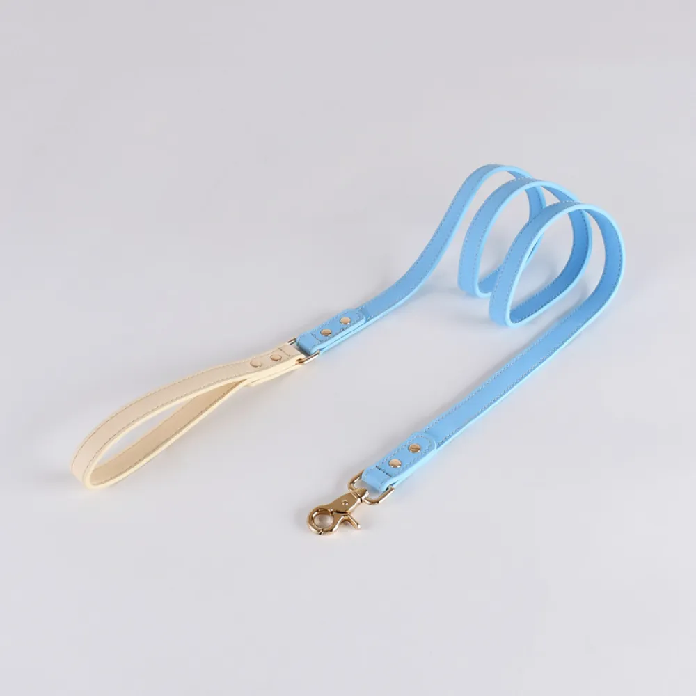 Genuine Leather Dog Collar Set