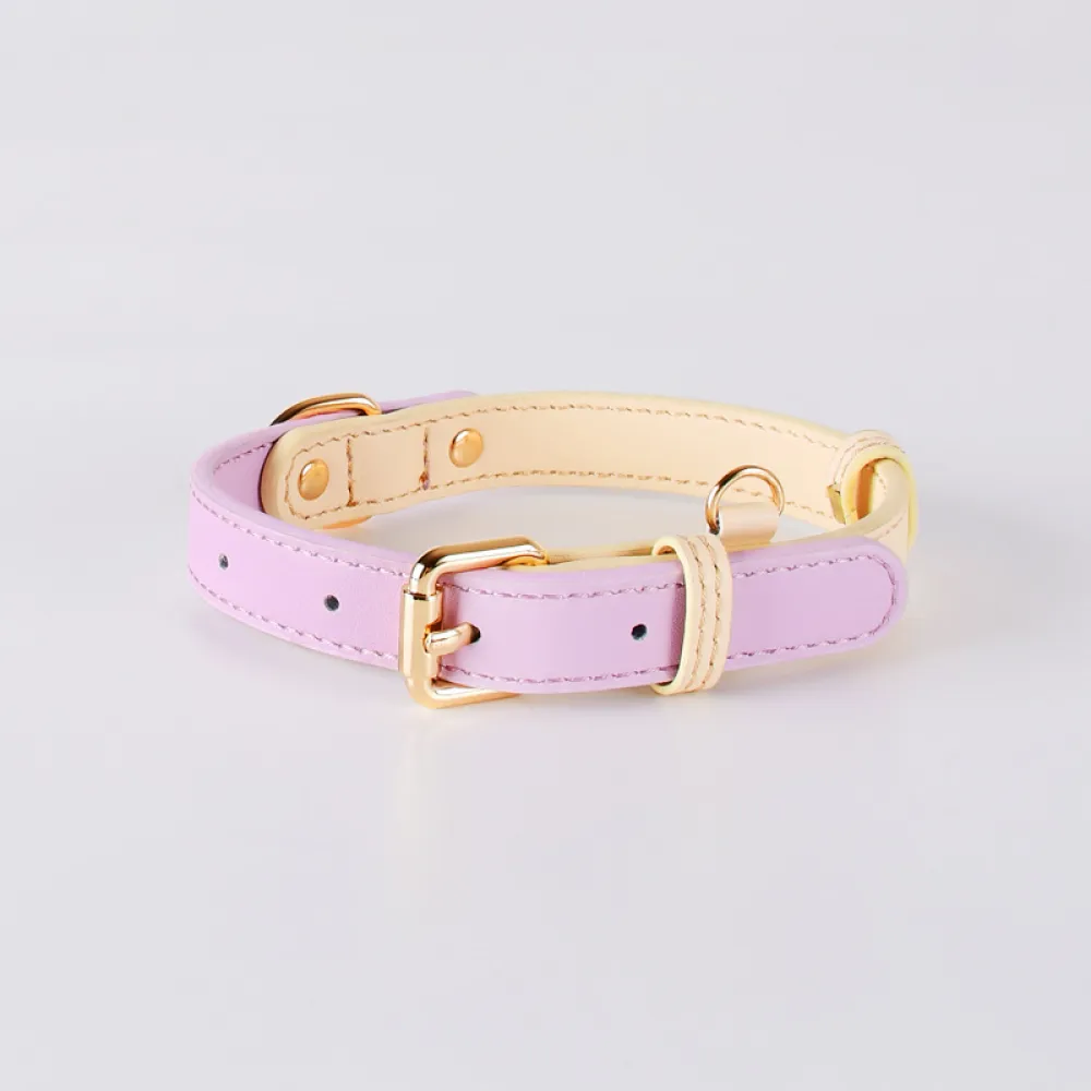 Genuine Leather Dog Collar Set