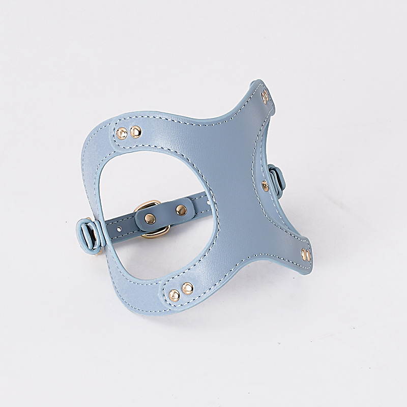 Luxury PU Dog Harness Set