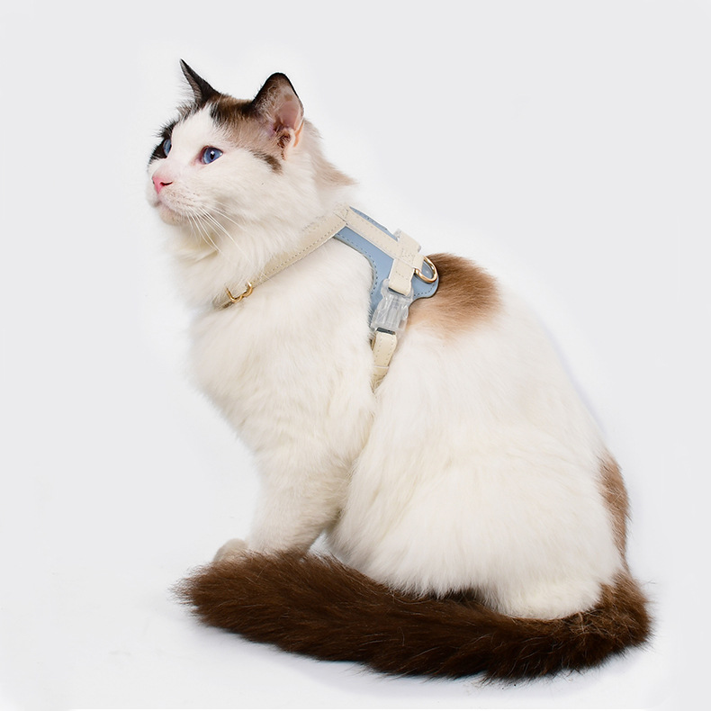 Escape Proof Cat Harness Set