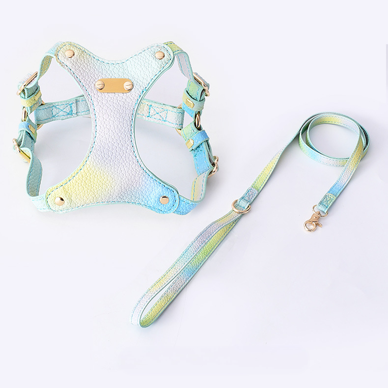 Gradient Color Cat Harness Set