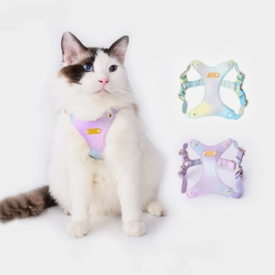 Gradient Color Cat Harness Set 01