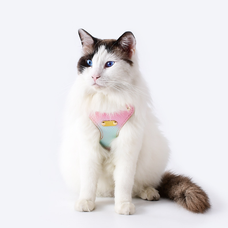 Gradient Color Cat Harness Set