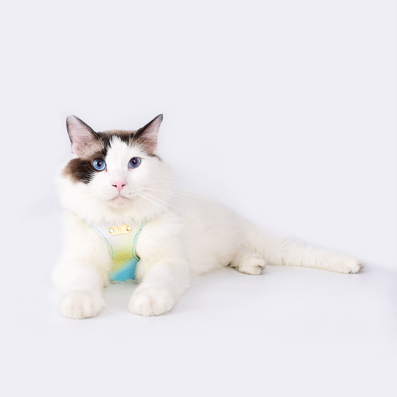 Gradient Color Cat Harness Set