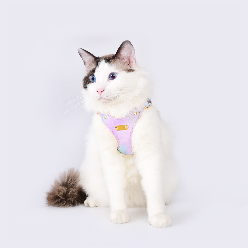 Gradient Color Cat Harness Set