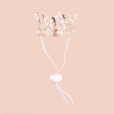 Shining Pet Crown Headwear 01