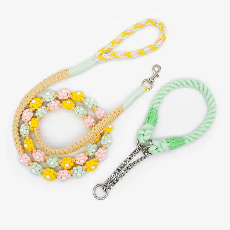 Fashion Handwoven Dog Leash