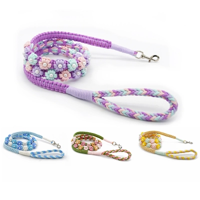 Fashion Handwoven Dog Leash 01