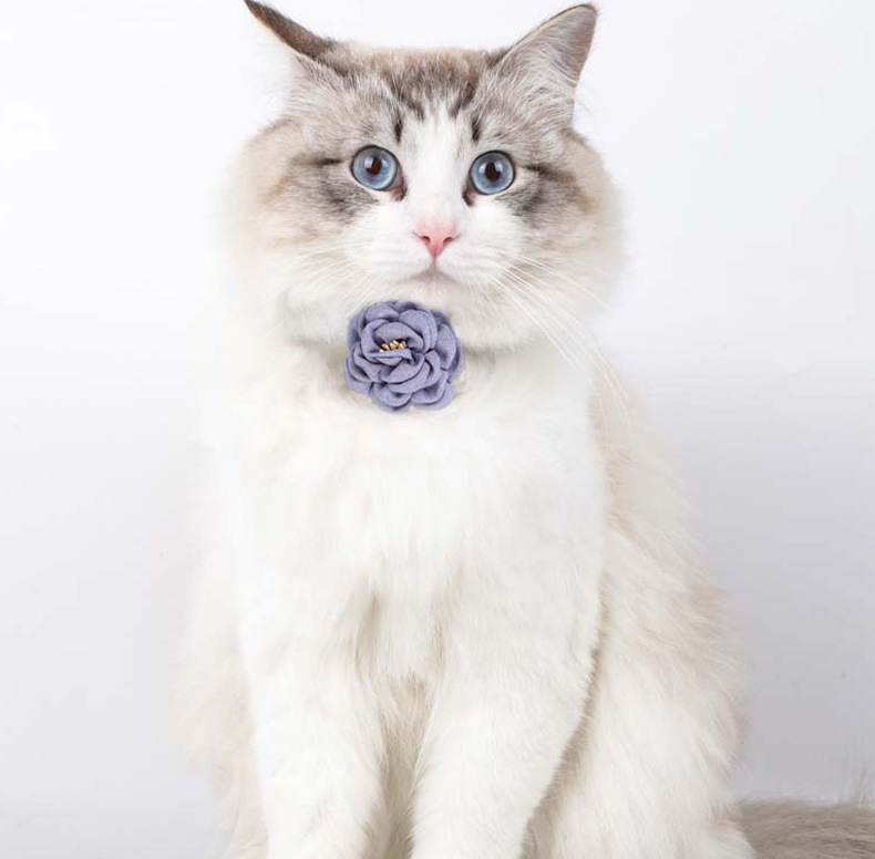 Camellia Flower Pet Collar