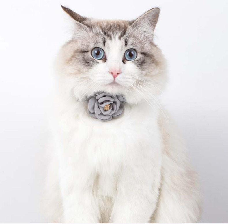 Camellia Flower Pet Collar