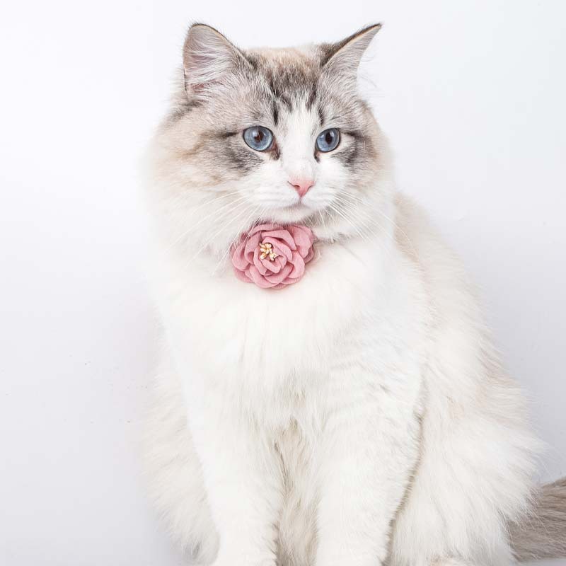 Camellia Flower Pet Collar