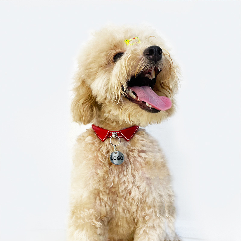 British Style Pet Collar Set