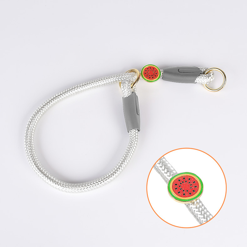 Adjustable Pet Training Collar