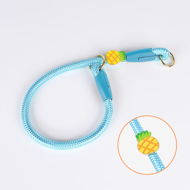 Adjustable Pet Training Collar