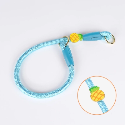 Adjustable Pet Training Collar 02