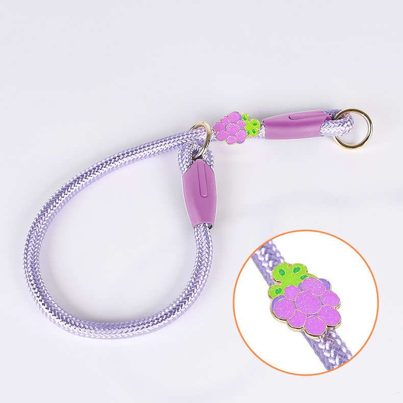 Adjustable Pet Training Collar