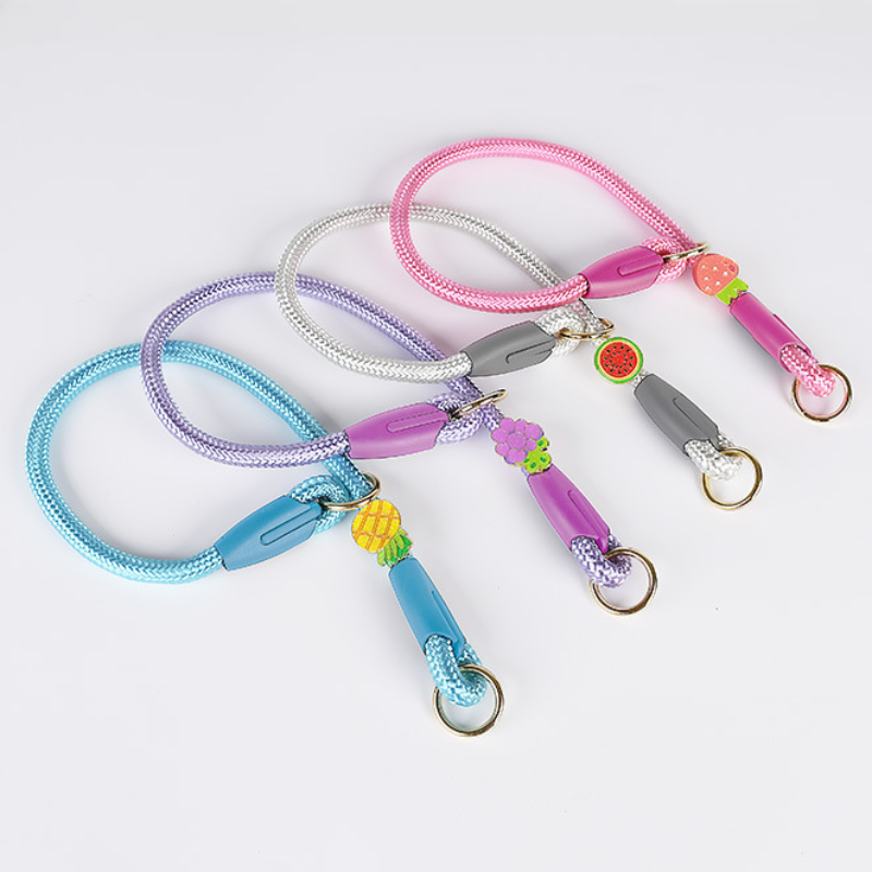 Adjustable Pet Training Collar
