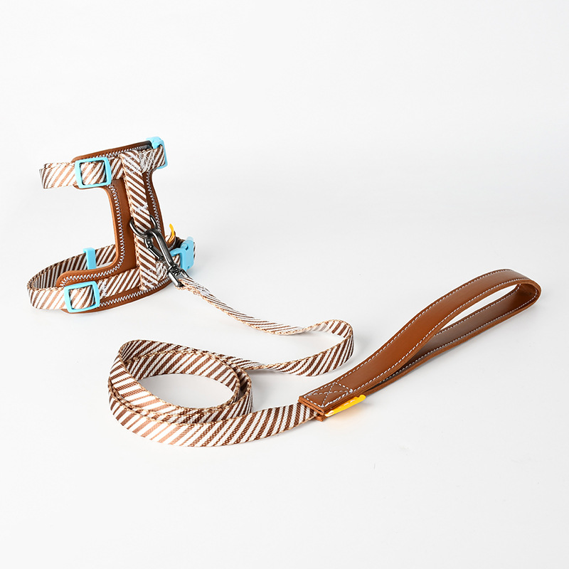 Luxury Pet Harness Leash Set