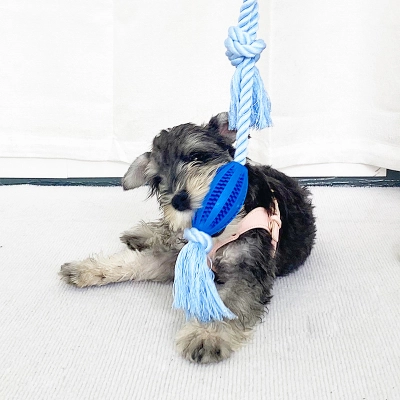 Cotton Rope Chew Teeth Cleaning 02