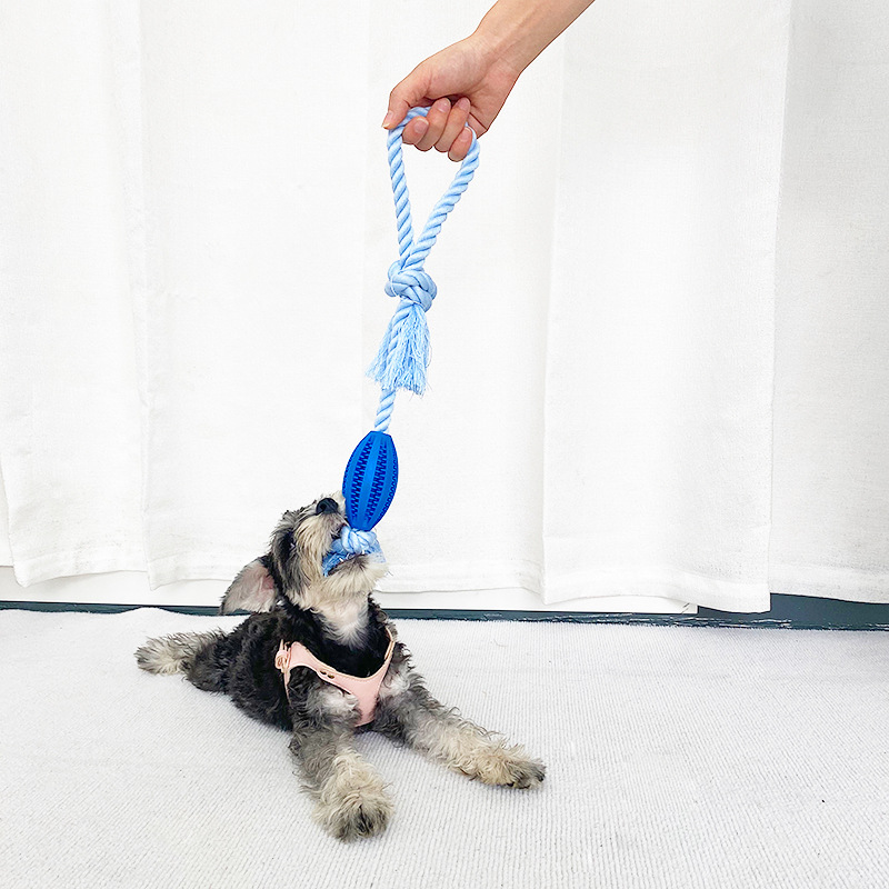 Cotton Rope Chew Teeth Cleaning