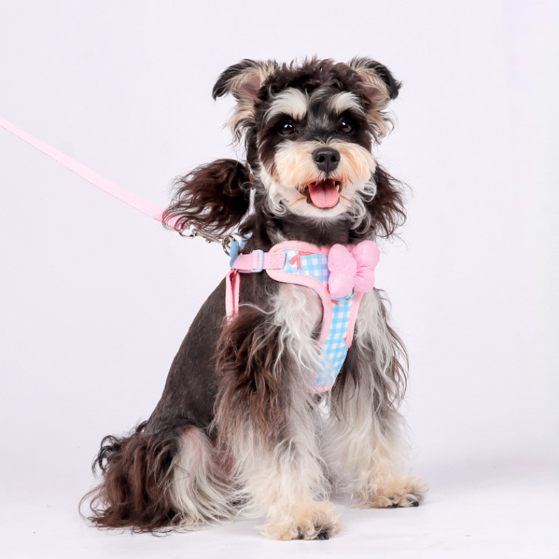 Bowknot Pet Harness Leash