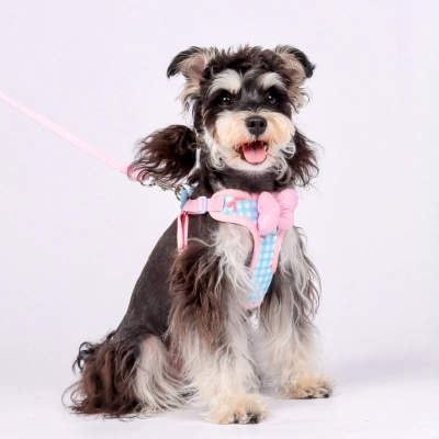 Bowknot Pet Harness Leash 01