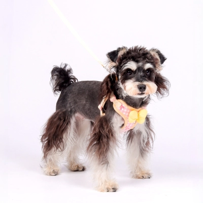 Bowknot Pet Harness Leash 02