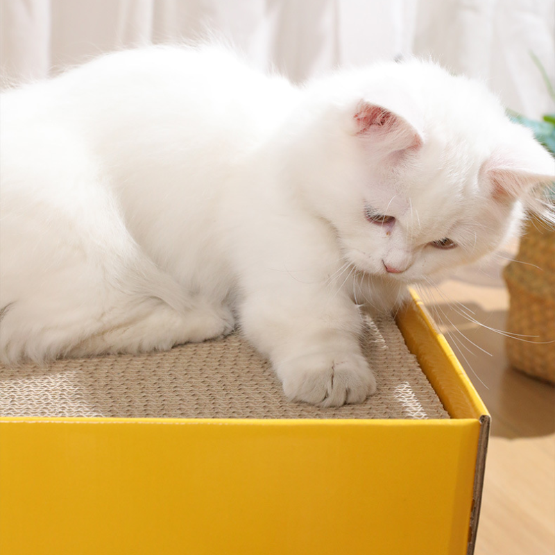 Cheese Cat Scratcher Bed