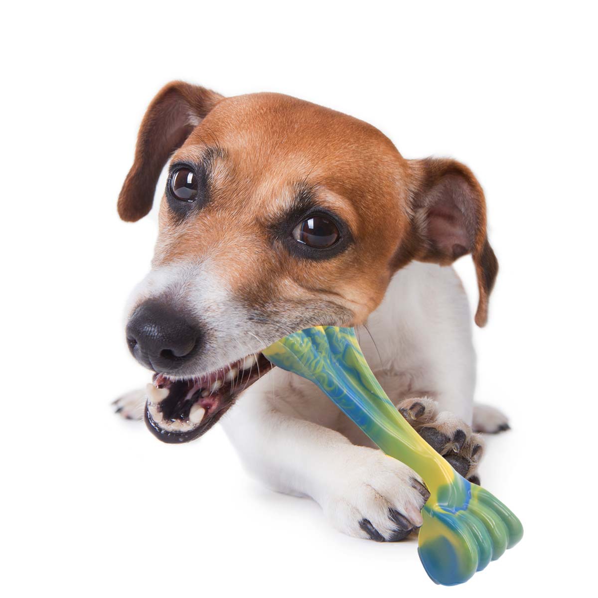 Bone Shaped Pet Chew Toy