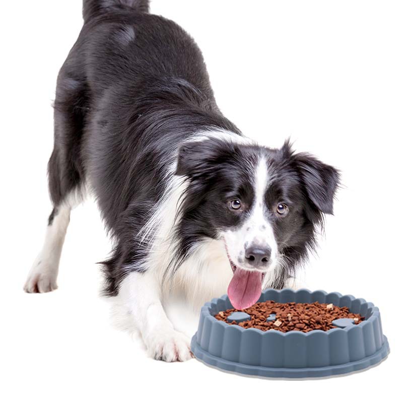 Slow Feed Pet Bowl Set