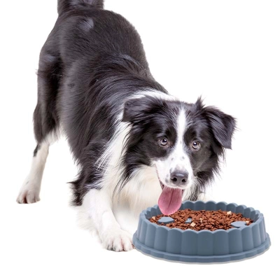 Slow Feed Pet Bowl Set 02