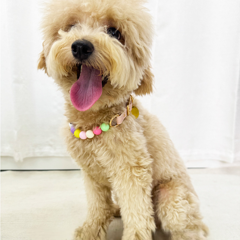 Colorful Beaded Pet Fashion Collar