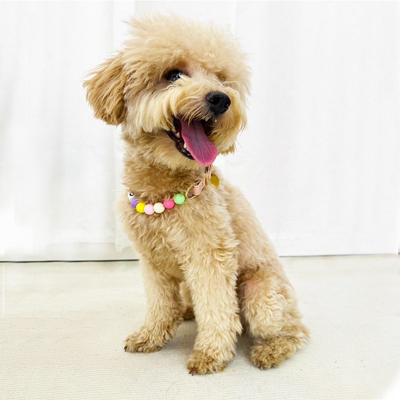 Colorful Beaded Pet Fashion Collar