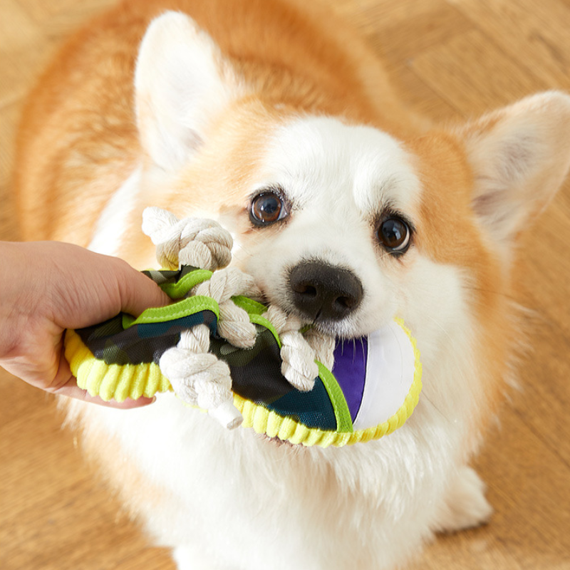 Squeaky Rope Shoe Dog Toy