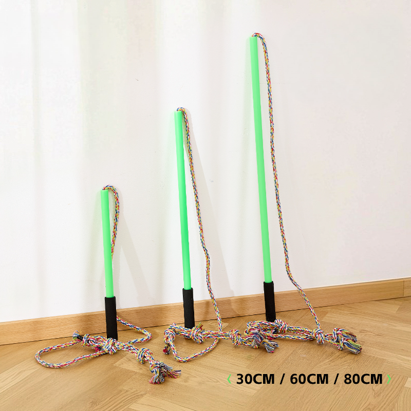 Extendable Pet Teaser Training Stick